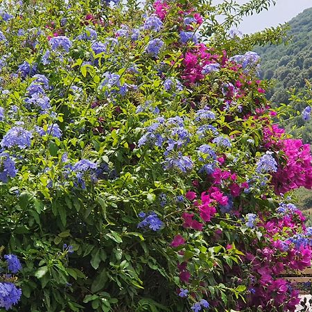 La Villa Guidi Pila-Canale Ngoại thất bức ảnh