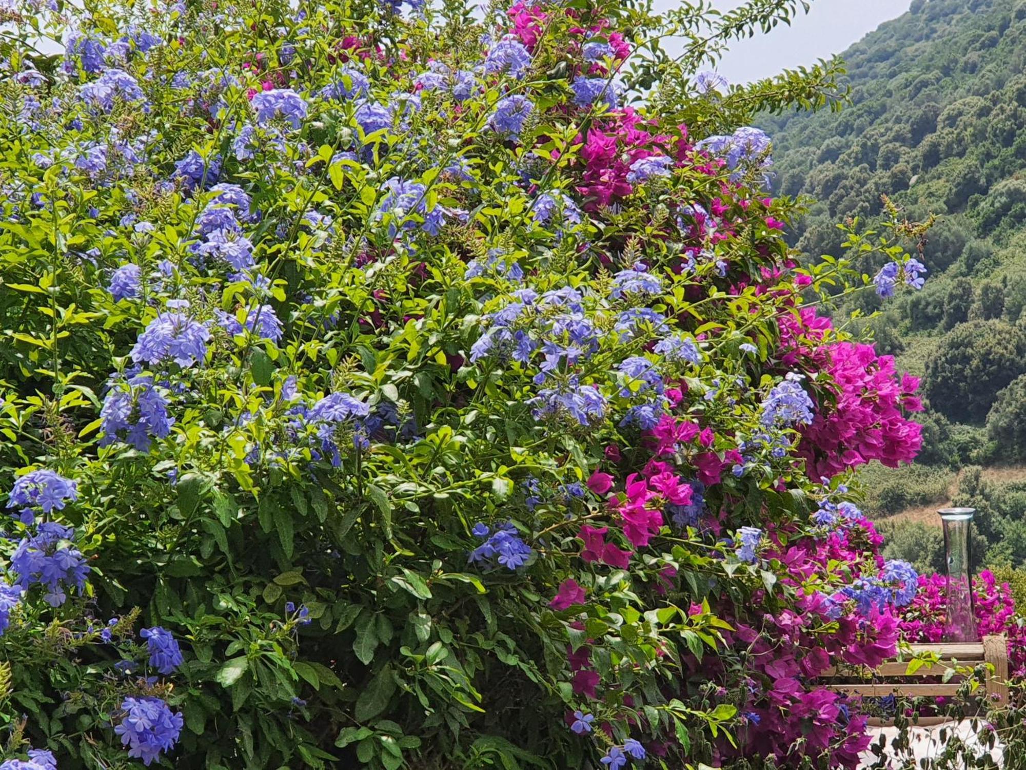 La Villa Guidi Pila-Canale Ngoại thất bức ảnh